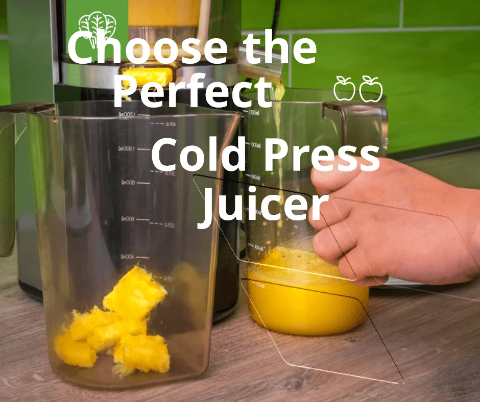 Choose the Perfect Cold Press Juicer