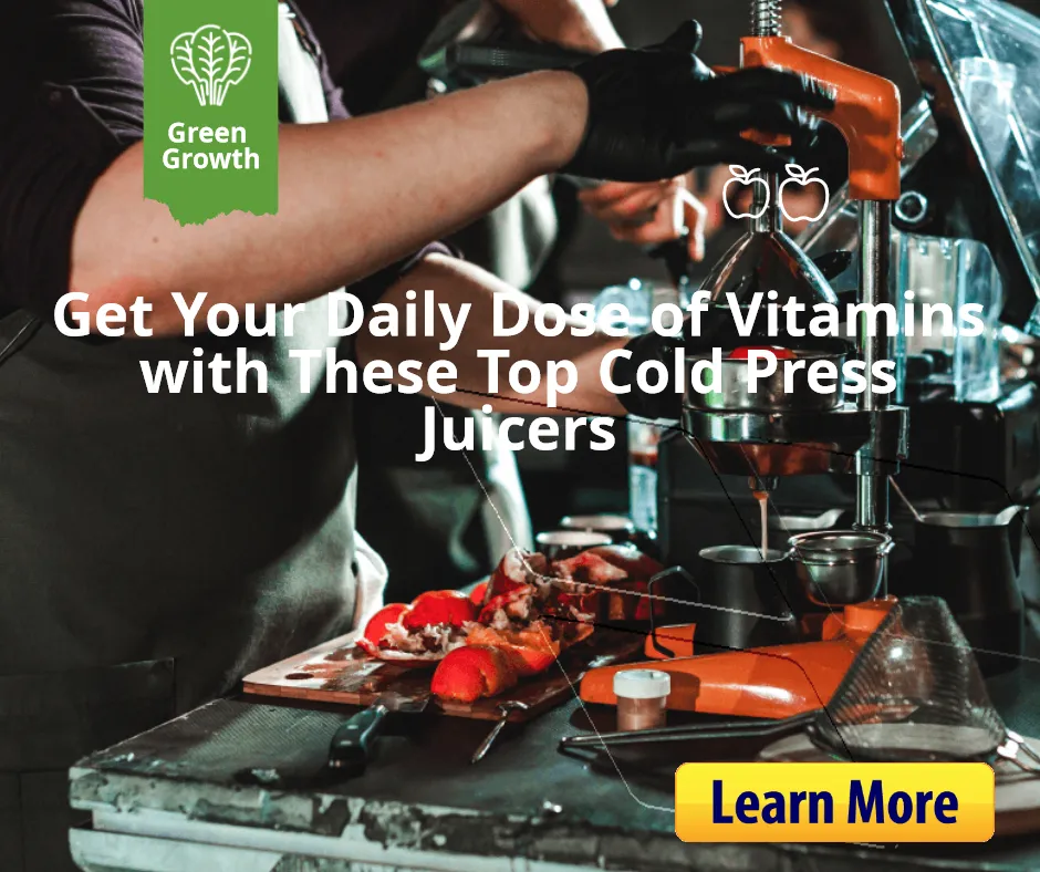 Get Your Daily Dose of Vitamins with These Top Cold Press Juicers