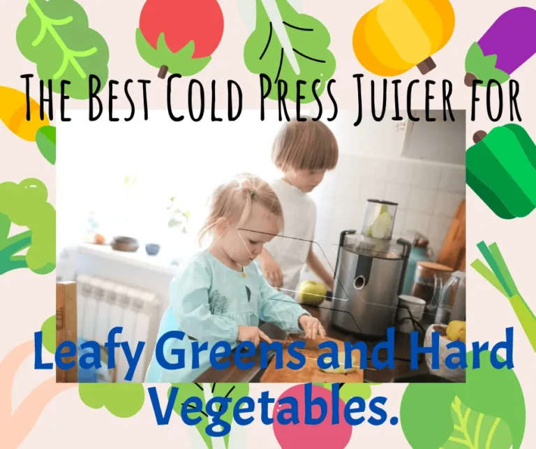 Cold Press Juicer for Leafy Greens and Hard Vegetables